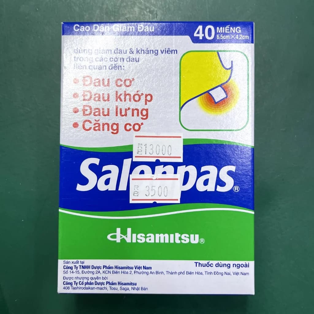 Salonpas 6.5cm x 4.2cm