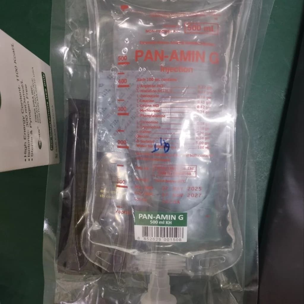 Pan-Amin G Injection 500ml